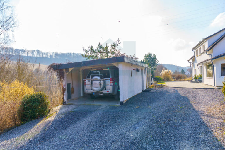 Zufahrt mit Garage