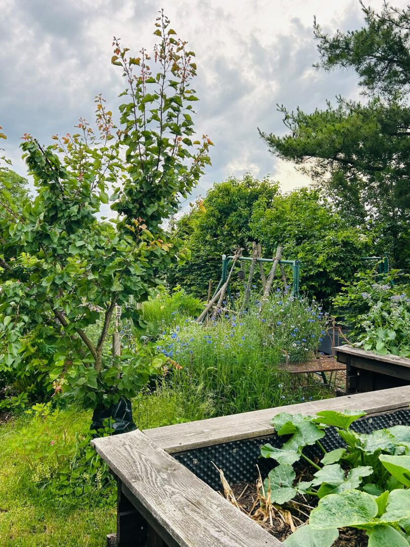 Garten