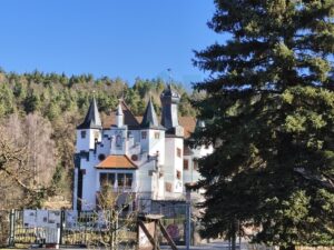 IMG_20260302_104258