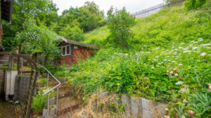 Garten mit Gartenhaus