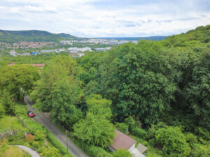Ausblick