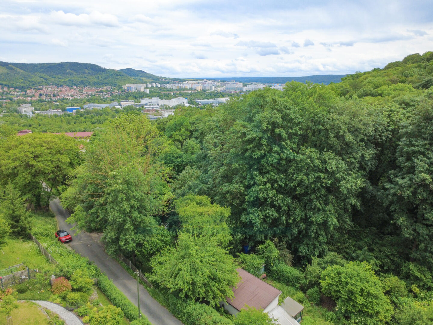 Ausblick