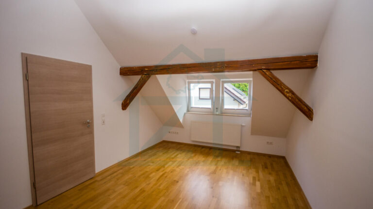 Zimmer DG