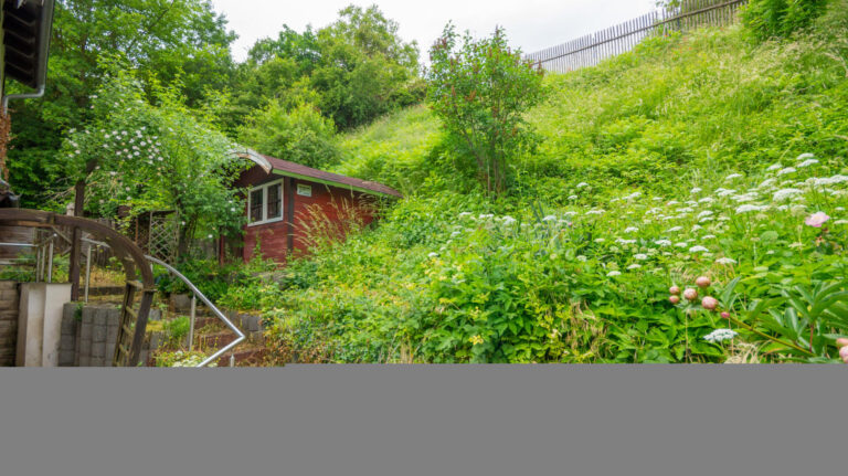 Garten mit Gartenhaus