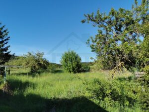 IMG_20250513_175952
