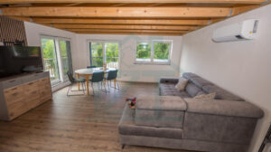 Wohn-/Ess-/Koch-Bereich