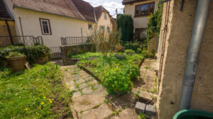Außenansicht Garten