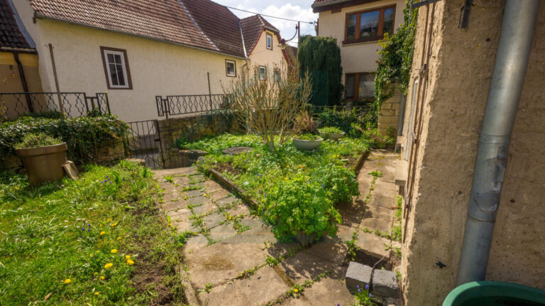 Außenansicht Garten