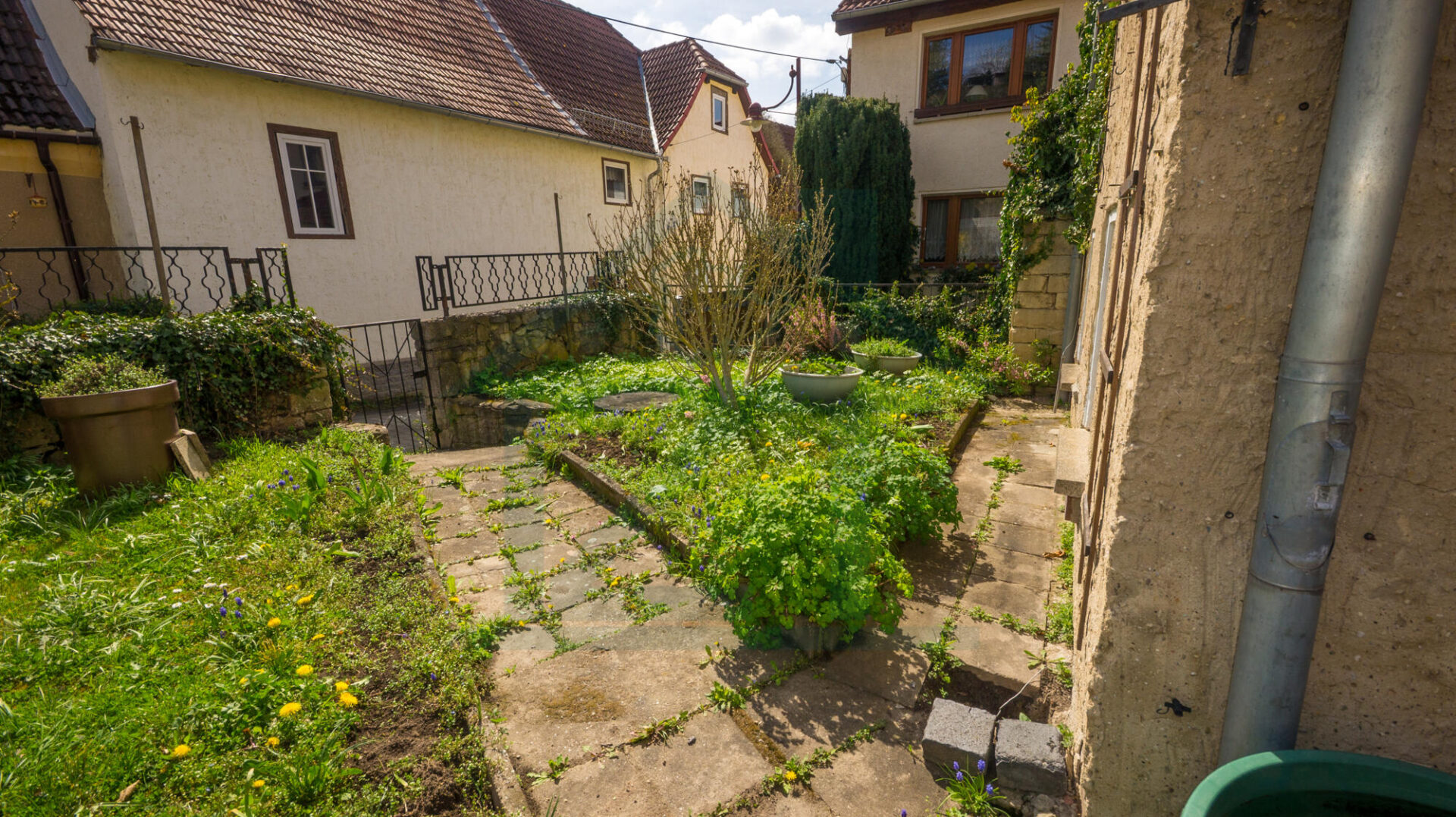 Außenansicht Garten