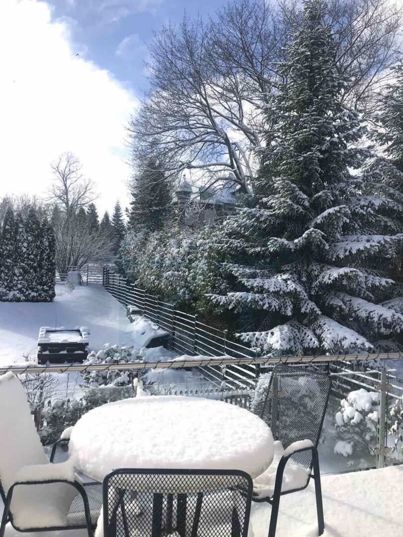 Aussicht im Winter