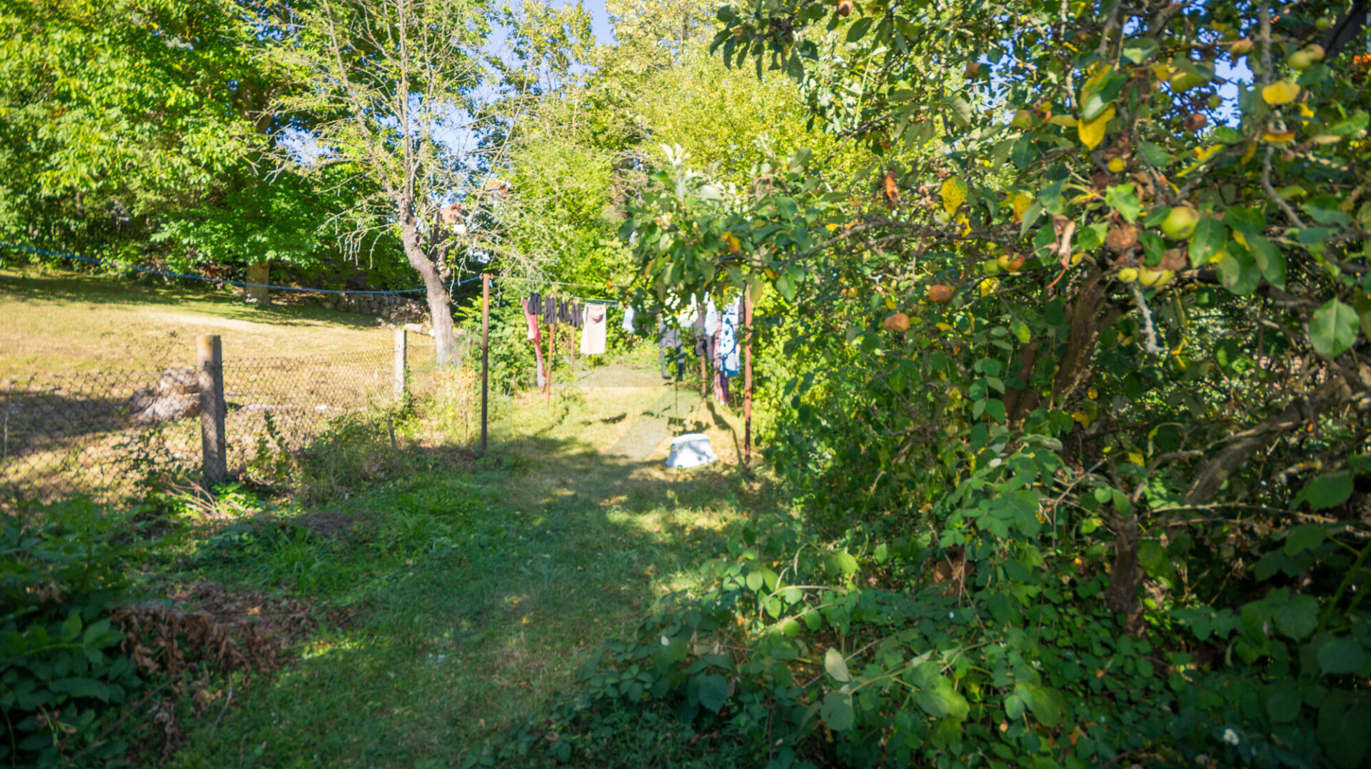 Garten mit Wäscheplatz