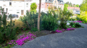 Vorgarten